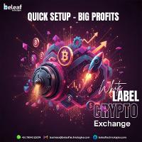 White Label Crypto Exchange Software: Fast Setup, High Profit Potential